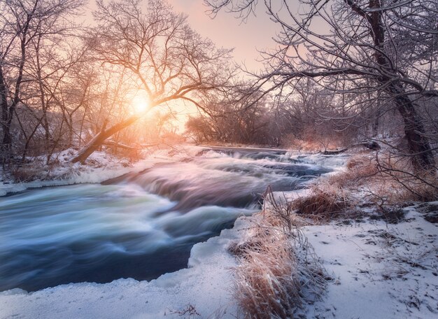 Paisagem de inverno