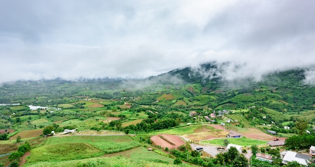 Paisagem, de, Khao, kho, distrito, petchabun, província, tailandia, agrícola, em, desforestion, área, e, lan