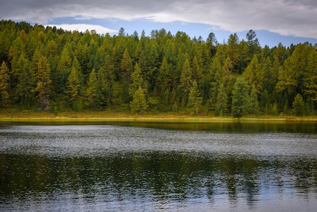 Foto paisagem de lago de alta montanha com floresta densa de coníferas