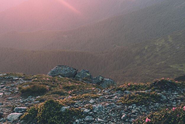 Paisagem de manhã nublada