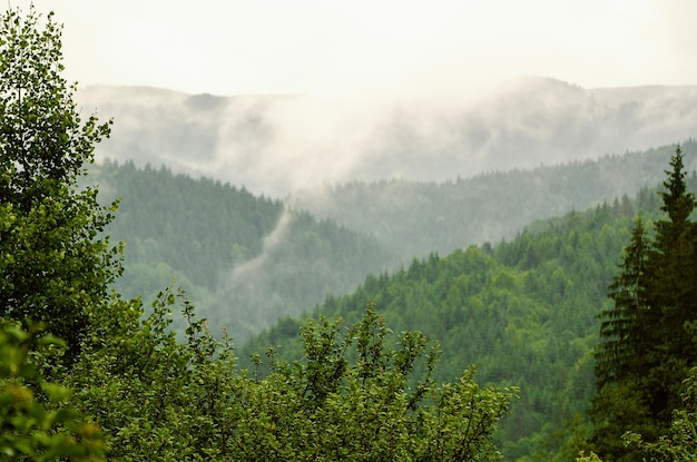 Paisagem de manhã nublada