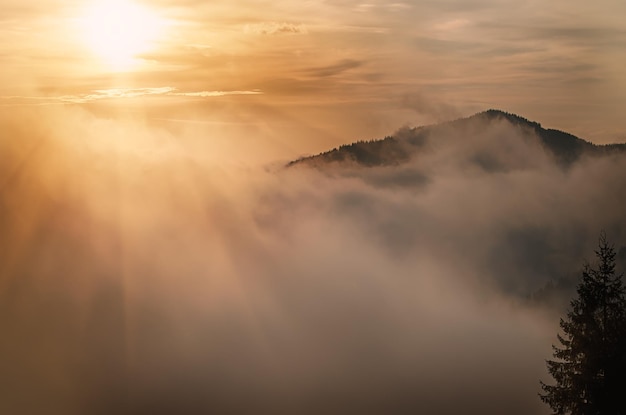 Paisagem de manhã nublada