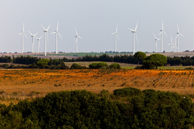 Paisagem de moinhos de vento