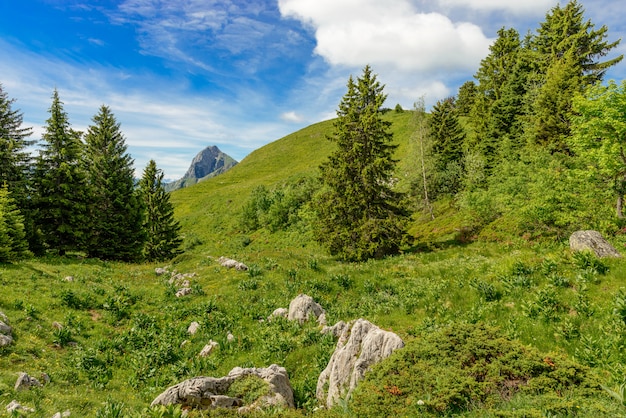 Paisagem de montanha Alpes