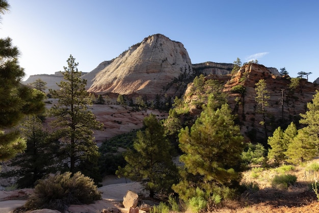 Paisagem de montanha americana céu de manhã ensolarada parque nacional de zion