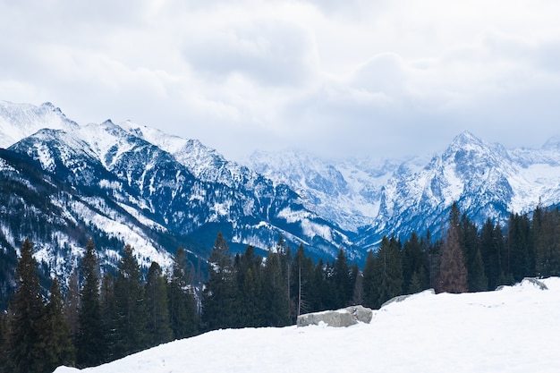 Paisagem de montanha coberta de neve em um dia nublado nas montanhas tatra de inverno