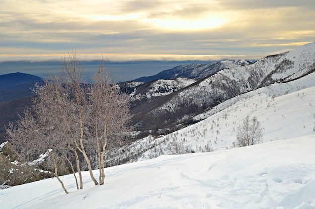 paisagem de montanha coberta de neve inverno nos Alpes