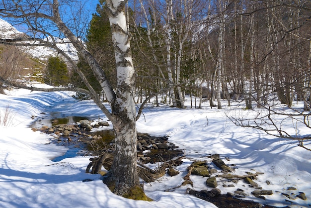 Paisagem de montanha com neve em um dia ensolarado