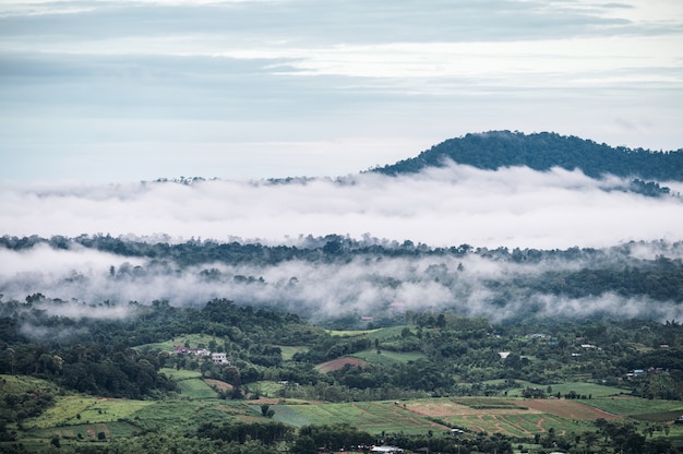 Paisagem de montanha com nevoeiro em dia chuvoso pela manhã no Parque Nacional Khao Kho