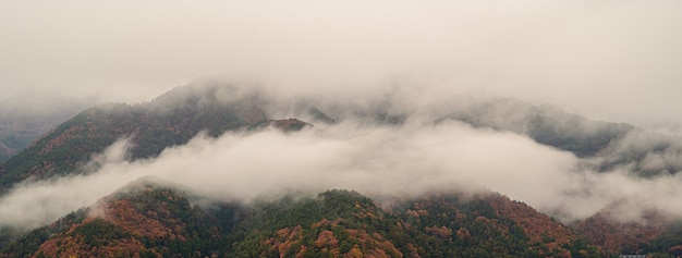 Paisagem de montanha com sapo pela manhã no outono