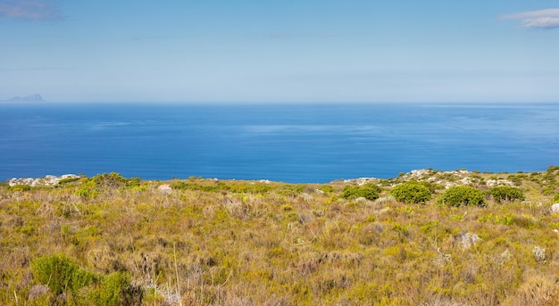 Paisagem de montanha costeira com flora fynbos na Cidade do Cabo África do Sul