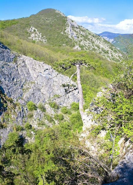 Paisagem de montanha da primavera Crimeia (Ucrânia).