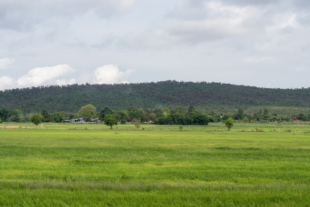 Paisagem de montanha de verão. Belas colinas e paisagem rural.