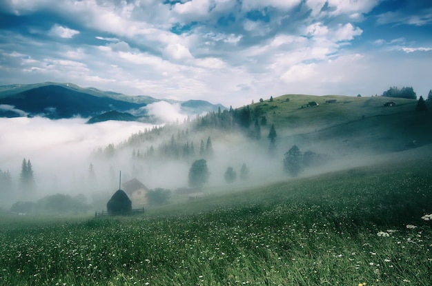Paisagem de montanha de verão de neblina com névoa e prado verde Casas rurais no nevoeiro e céu nublado dramático Cárpatos Ucrânia