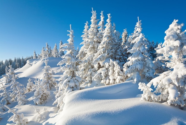 Paisagem de montanha do inverno