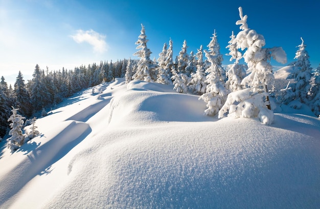 Paisagem de montanha do inverno