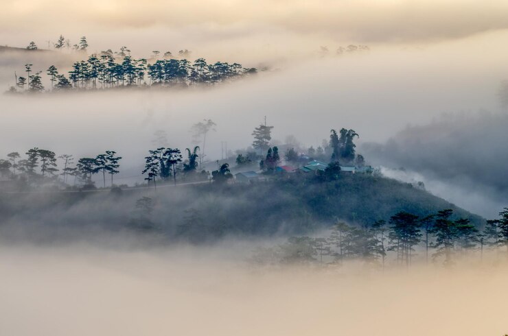Foto paisagem de montanha e floresta