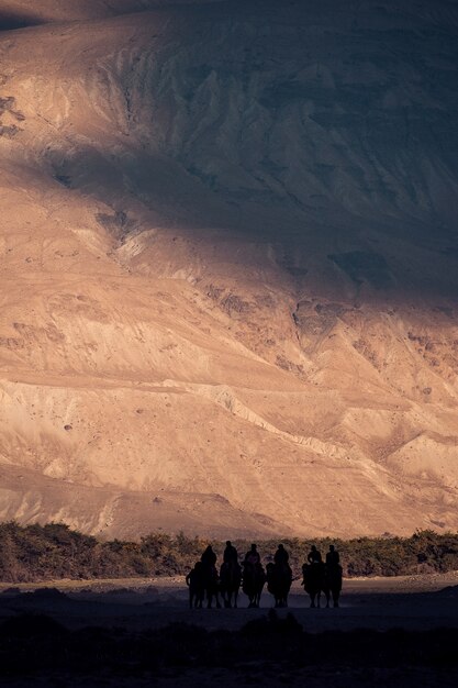 Paisagem, de, montanha, e, montando, camelo