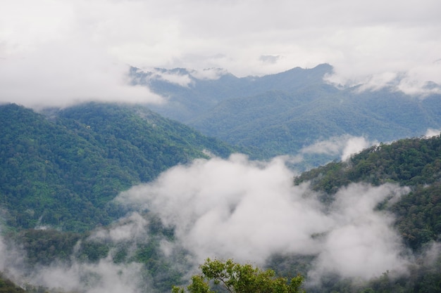 paisagem de montanha e nevoeiro com céu azul de alta vista