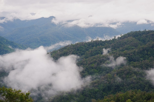 paisagem de montanha e nevoeiro com céu azul de alta vista