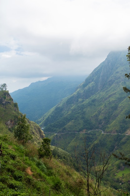 Foto paisagem de montanha, encostas verdes. beleza das montanhas. pequeno pico de adam, montanha na névoa vista da selva