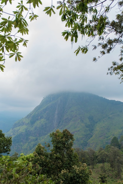 Paisagem de montanha, encostas verdes. beleza das montanhas. pequeno pico de adam, montanha no nevoeiro vista da selva