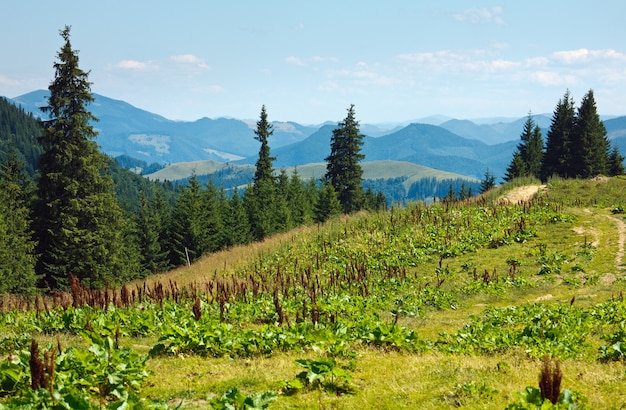 Paisagem de montanha enevoada de verão com estrada secundária, Cárpatos, Ucrânia