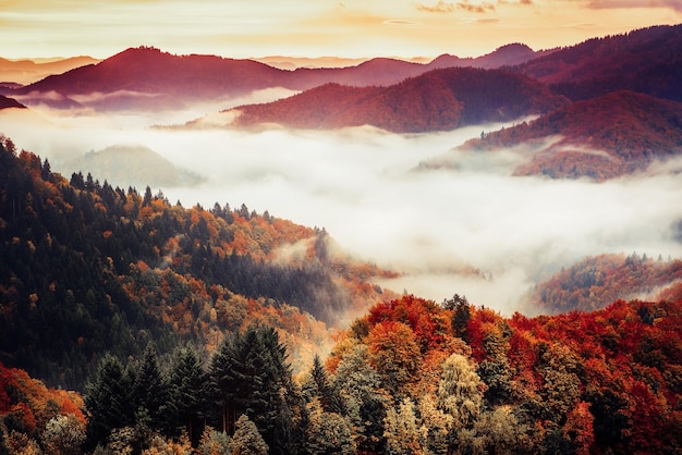 Paisagem de montanha enevoada