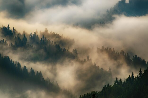 Paisagem de montanha enevoada