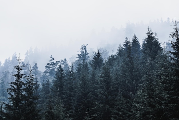 Paisagem de montanha enevoada