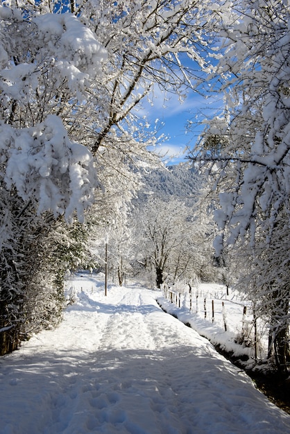 Paisagem de montanha no inverno com neve