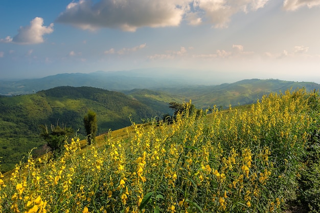 Paisagem de montanha no melhor momento