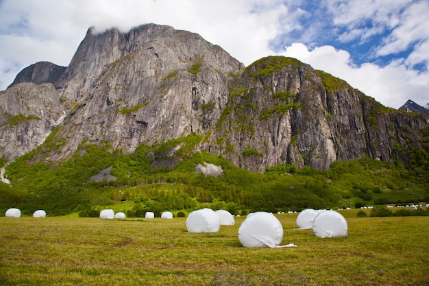 Paisagem de montanha norueguesa perto de Eikesdalen