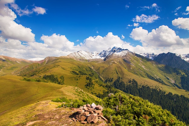 Paisagem de montanha verão