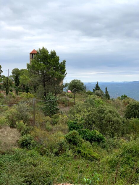 Paisagem de montanha