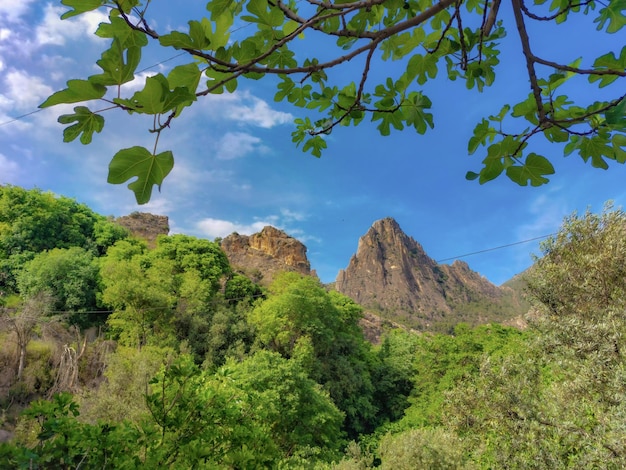 paisagem de montanha