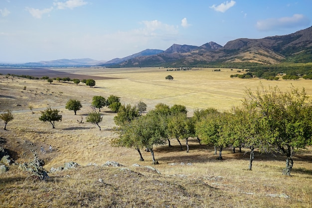 Paisagem de montanhas com árvores e céu azul com nuvens