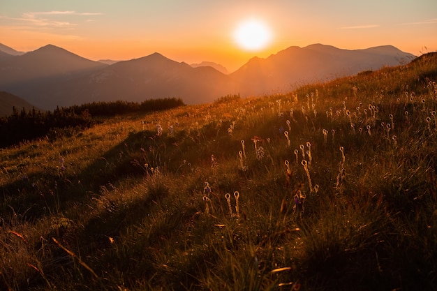 Paisagem de montanhas com pôr do sol em céu claro no verão