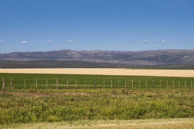 Paisagem de montanhas de um campo e azul skyx9