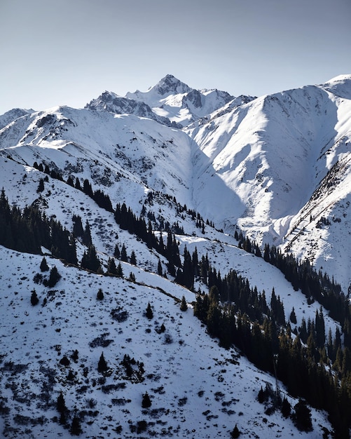 Paisagem de montanhas nevadas