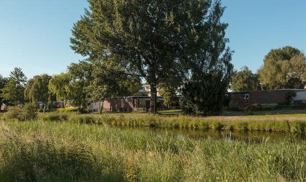 Paisagem de natureza holandesa em torno de Amesterdão