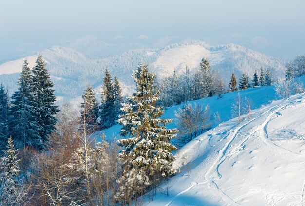 Paisagem de neve de montanha de inverno