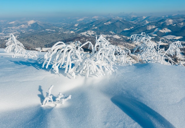 Paisagem de neve de montanha de inverno