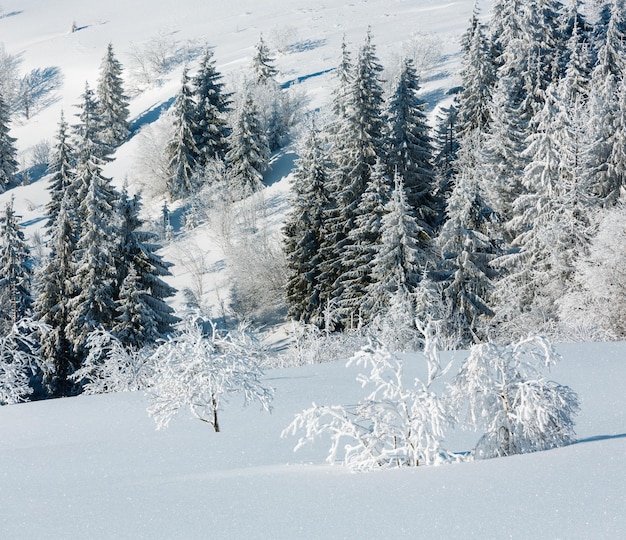 Paisagem de neve de montanha de inverno