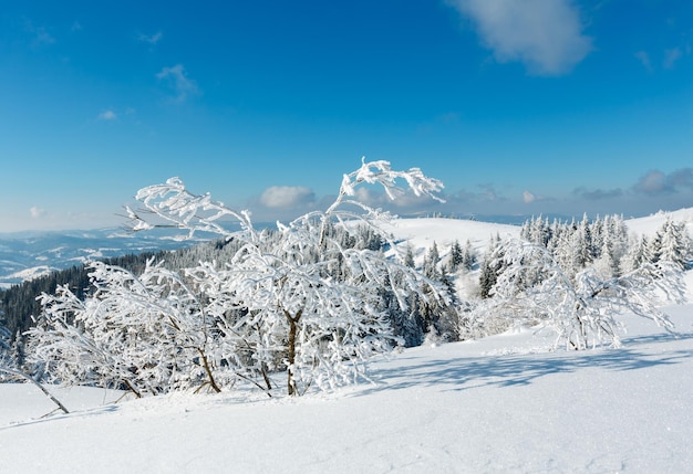 Paisagem de neve de montanha de inverno