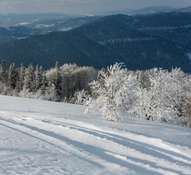 Paisagem de neve de montanha de inverno