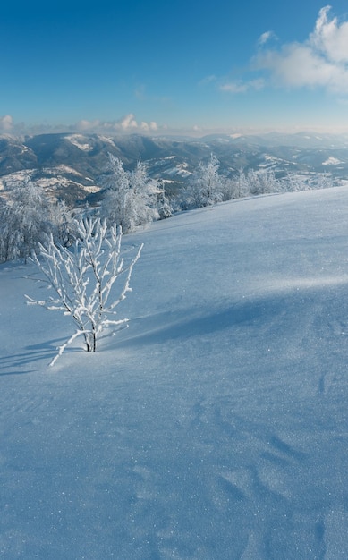 Paisagem de neve de montanha de inverno