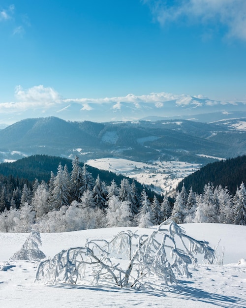 Paisagem de neve de montanha de inverno