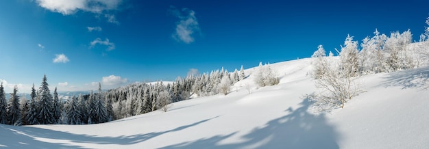 Paisagem de neve de montanha de inverno