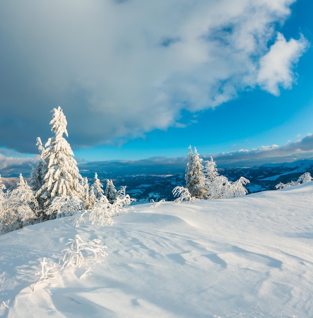 Paisagem de neve de montanha de inverno